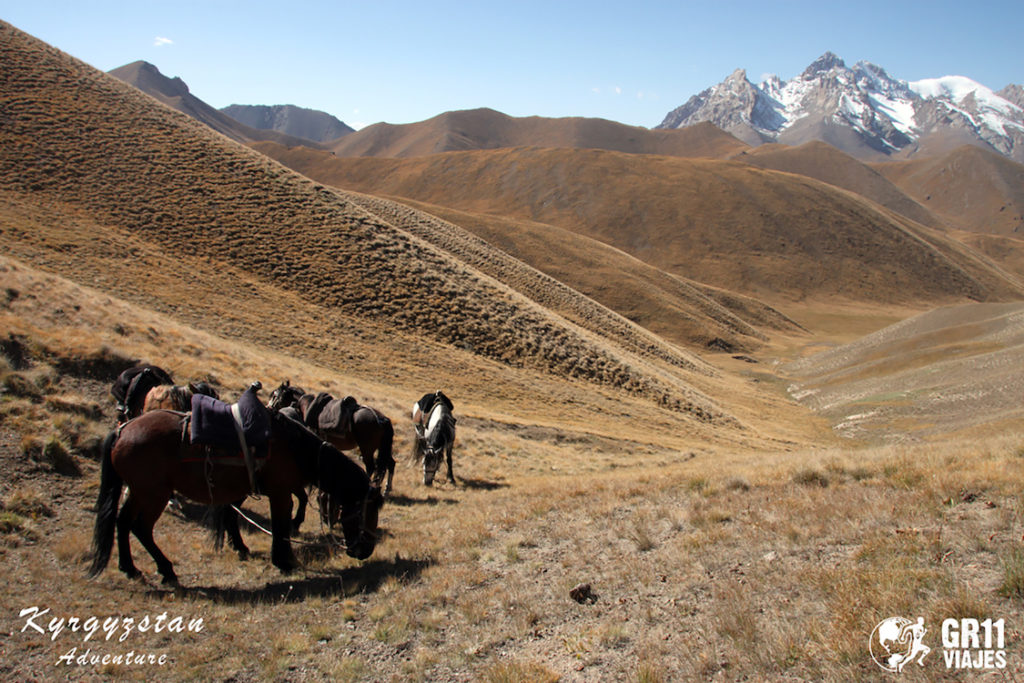 Trip To Kyrgyzstan 2015 9793