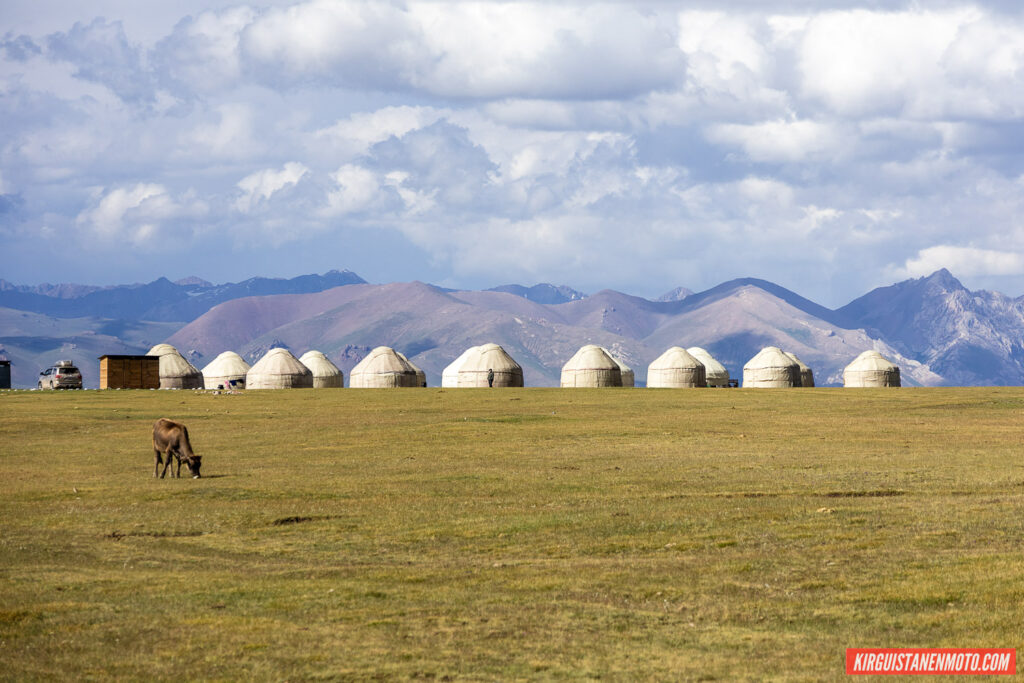 Kyrgyzstanenmoto 305