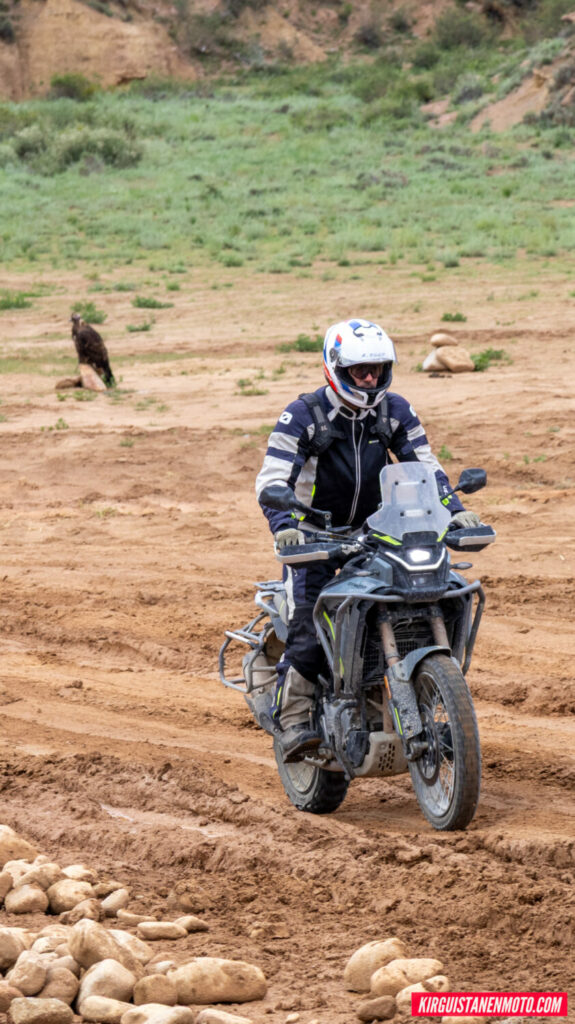 Kgmoto2026 115